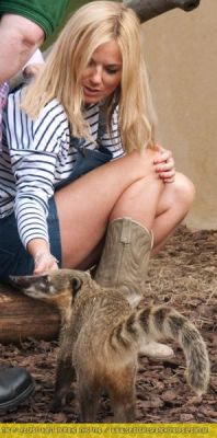 Click to view full size image
==============
SGFB_gh_zoo_(3).jpg SGFB_gh_zoo_(3).jpg