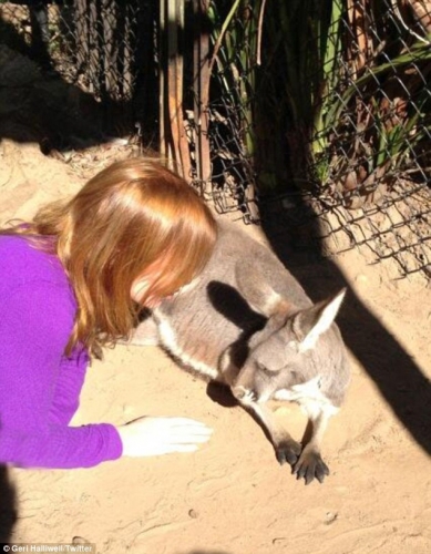 Click to view full size image
==============
article-2343900-1A60C7AE000005DC-667_634x813.jpg article-2343900-1A60C7AE000005DC-667_634x813.jpg