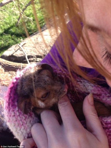 Click to view full size image
==============
article-2343900-1A60C943000005DC-337_634x839.jpg article-2343900-1A60C943000005DC-337_634x839.jpg