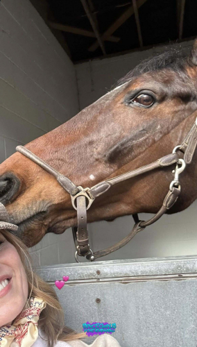 Click to view full size image
==============
SGFB_Cheltenham00005.jpg SGFB_Cheltenham00005.jpg