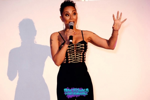 Click to view full size image
==============
SGFB_aid00002.jpg SGFB_aid00002.jpg