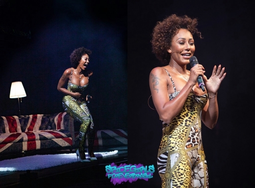 Click to view full size image
==============
SGFB_Leeds00012.jpg SGFB_Leeds00012.jpg