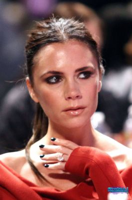 Click to view full size image
==============
SGFB_Maria_Shrivers0010.jpg SGFB_Maria_Shrivers0010.jpg