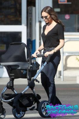 Click to view full size image
==============
SGFB_Shop00006.jpg SGFB_Shop00006.jpg