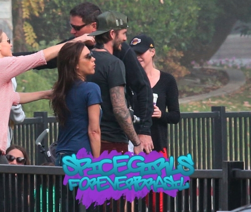 Click to view full size image
==============
SGFB_Beckhams00009.jpg SGFB_Beckhams00009.jpg