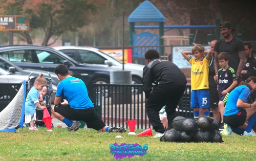 Click to view full size image
==============
SGFB_Beckhams00010.jpg SGFB_Beckhams00010.jpg