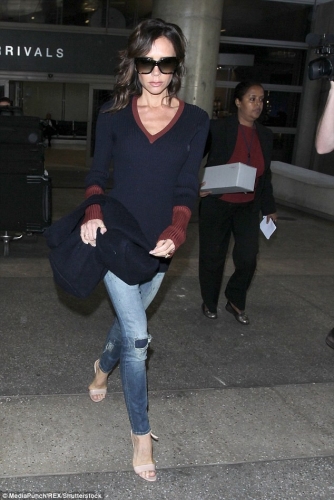 Click to view full size image
==============
SGFB_Lax00008.jpg SGFB_Lax00008.jpg