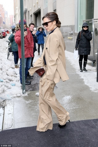 Click to view full size image
==============
SGFB_NY00005.jpg SGFB_NY00005.jpg