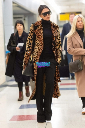 Click to view full size image
==============
SGFB_JFK00005.jpg SGFB_JFK00005.jpg