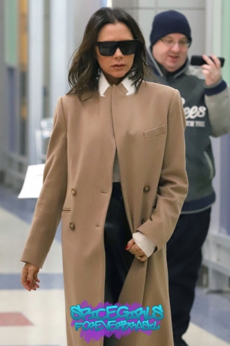 Click to view full size image
==============
SGFB_JFK00001.jpg SGFB_JFK00001.jpg