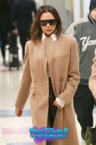 Click to view full size image
==============
SGFB_JFK00008.jpg SGFB_JFK00008.jpg