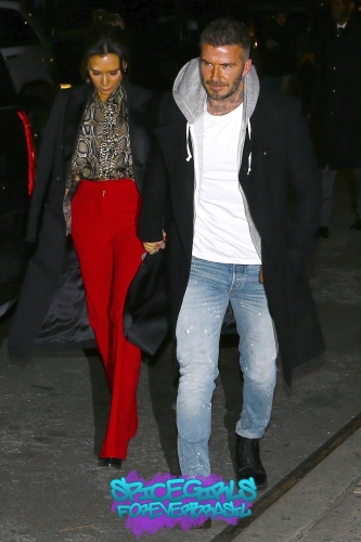 Click to view full size image
==============
SGFB_Reebok00008.jpg SGFB_Reebok00008.jpg