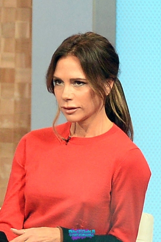 Click to view full size image
==============
SGFB_GMTV00003.jpg SGFB_GMTV00003.jpg