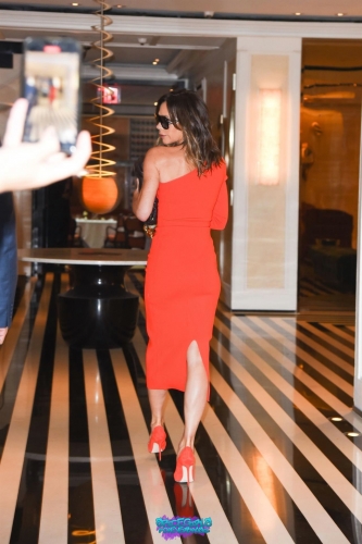 Click to view full size image
==============
SGFB_NY00006.jpg SGFB_NY00006.jpg