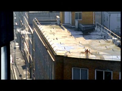 Click to view full size image
==============
Image00334.jpg Image00334.jpg