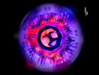 bag_it_up_clipe_(112).jpg bag_it_up_clipe_(112).jpg