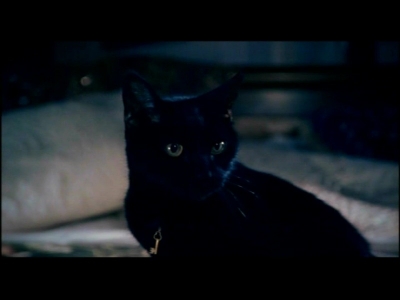 Click to view full size image
==============
desire_clipe_(149).jpg desire_clipe_(149).jpg