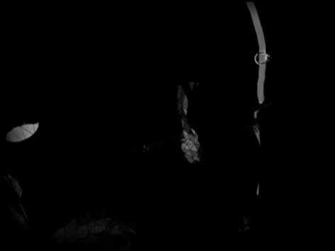 word_up_v1_clipe_(4).jpg word_up_v1_clipe_(4).jpg