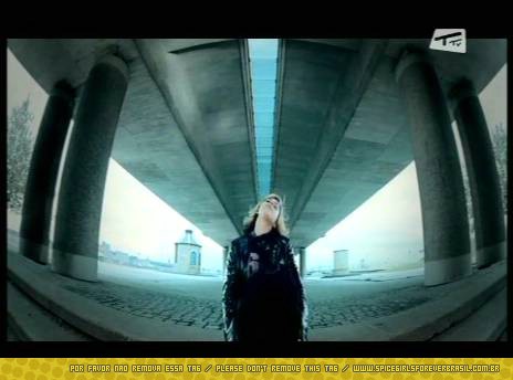 SGFB_iwc00073.jpg SGFB_iwc00073.jpg