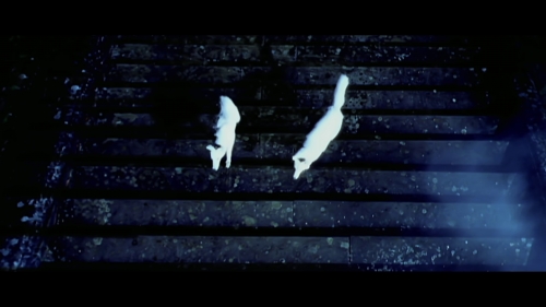 Click to view full size image
==============
SGFB_goodbye00094.jpg SGFB_goodbye00094.jpg