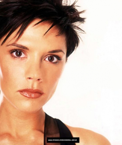 Click to view full size image
==============
ministry_28329.jpg ministry_28329.jpg