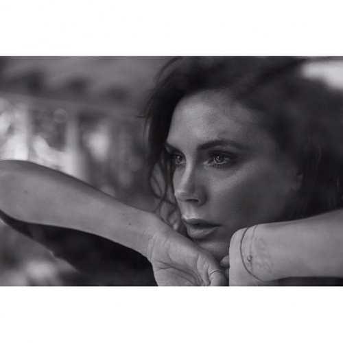 Click to view full size image
==============
SGFB_VN00004.jpg SGFB_VN00004.jpg