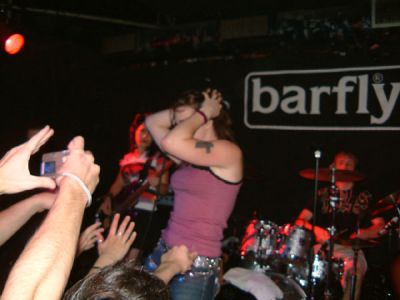 Click to view full size image
==============
mcbarfly27.jpg mcbarfly27.jpg