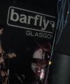 barfly3.jpg