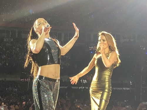 Click to view full size image
==============
SGFB_Cardiff00037.jpg SGFB_Cardiff00037.jpg